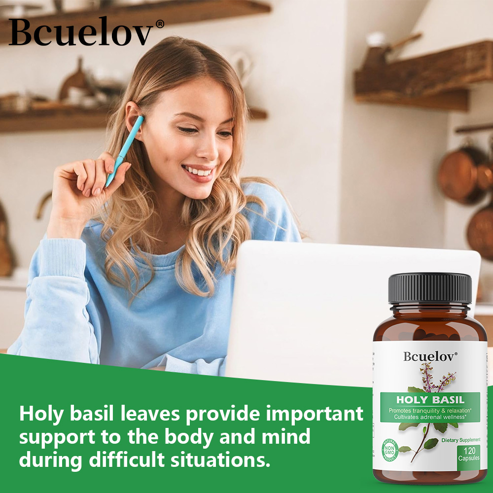 Holy Basil Tulsi Extract Capsu – Tulsi Holy Basil Bewertung und Preis