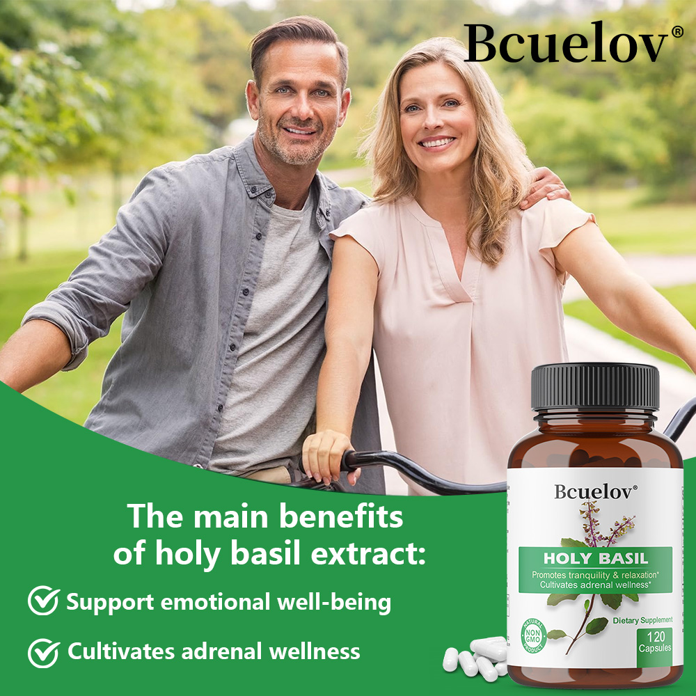 Holy Basil Tulsi Extract Capsu – Tulsi Holy Basil Bewertung und Preis